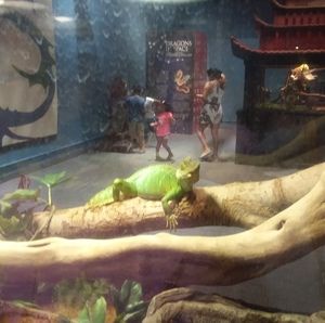 Meet your Posher, Elliott